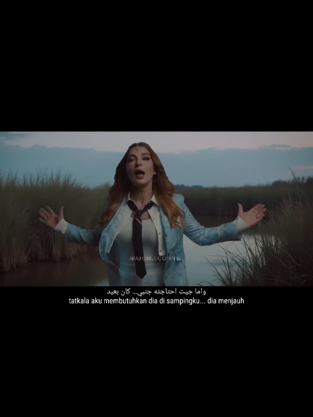 @Arabic Music Channel