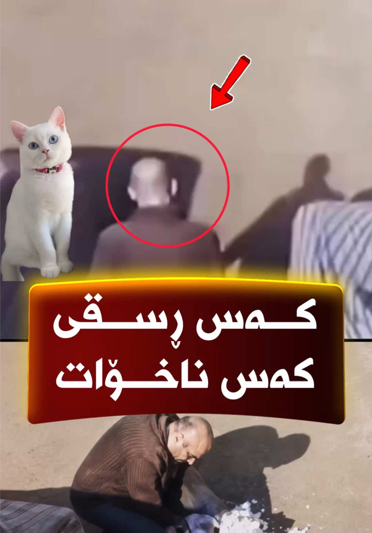 @🎤📺 𓆩جیگر هەركی𓆪 Journalist