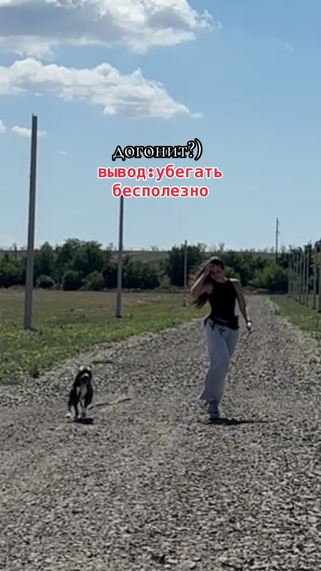 @🐶зᴧой ᴀʍᴄᴛᴀɸɸ⛓️💥