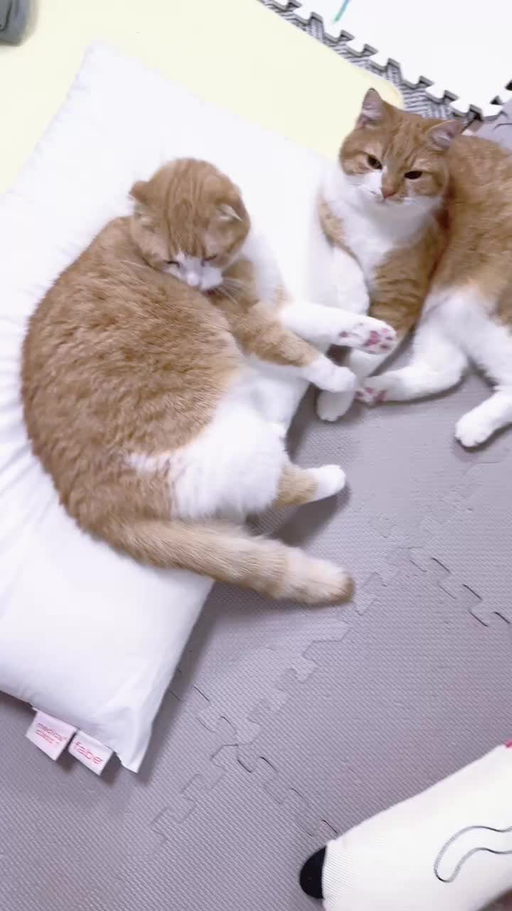 @マロン