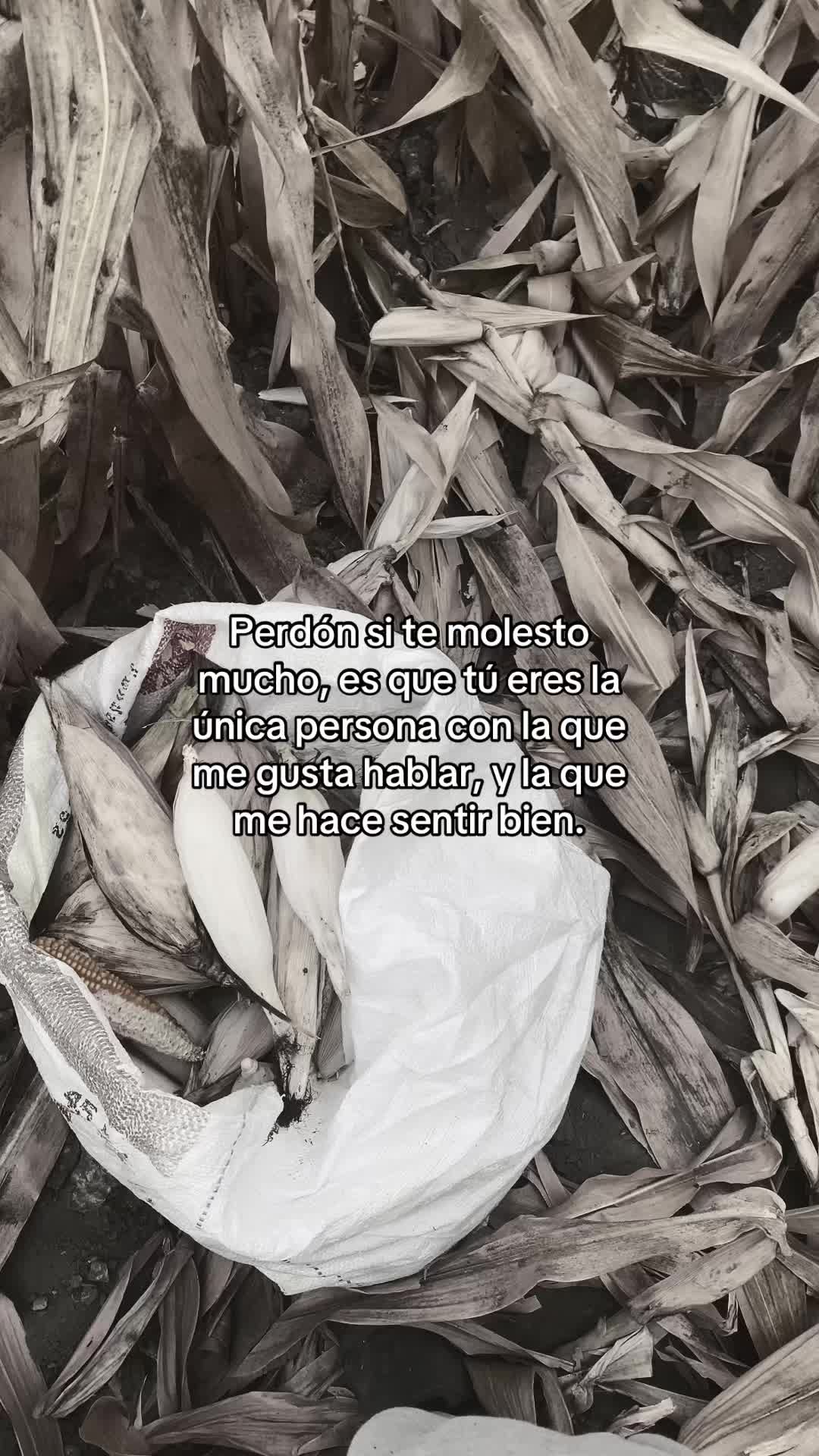 @️🥀Rafa🪫