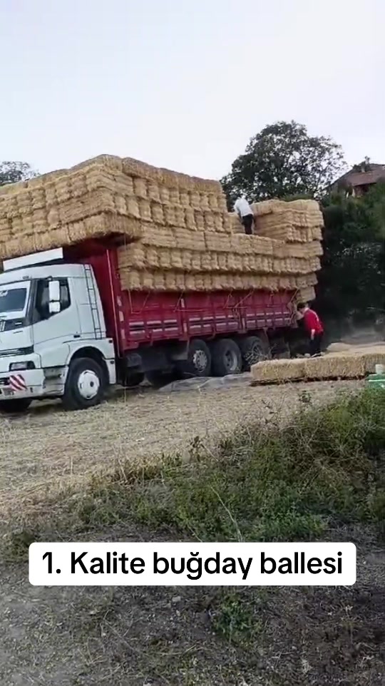 @Fikret Sarıkaya