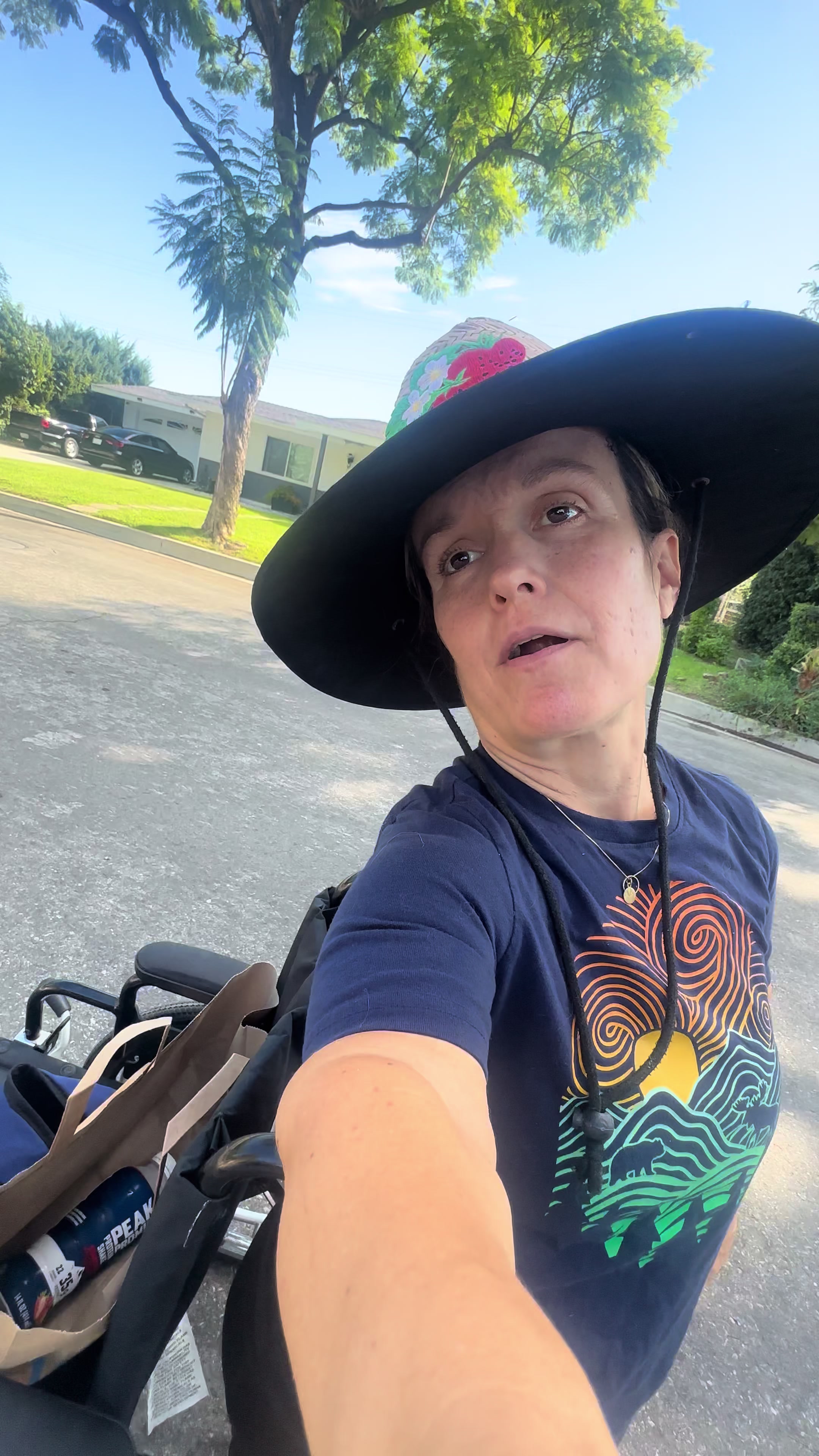 @Terra Jolé