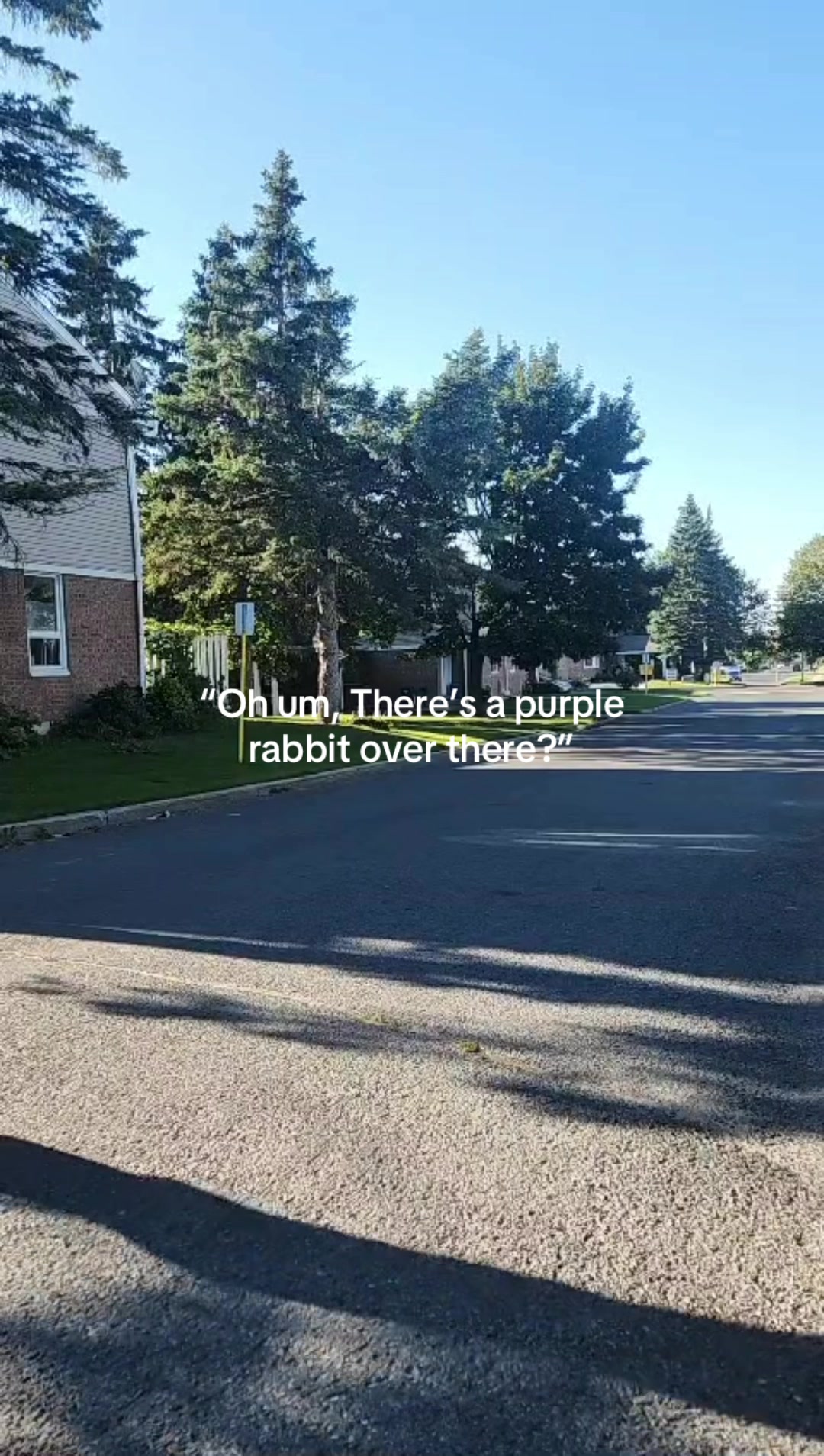 @nobodyweirdo