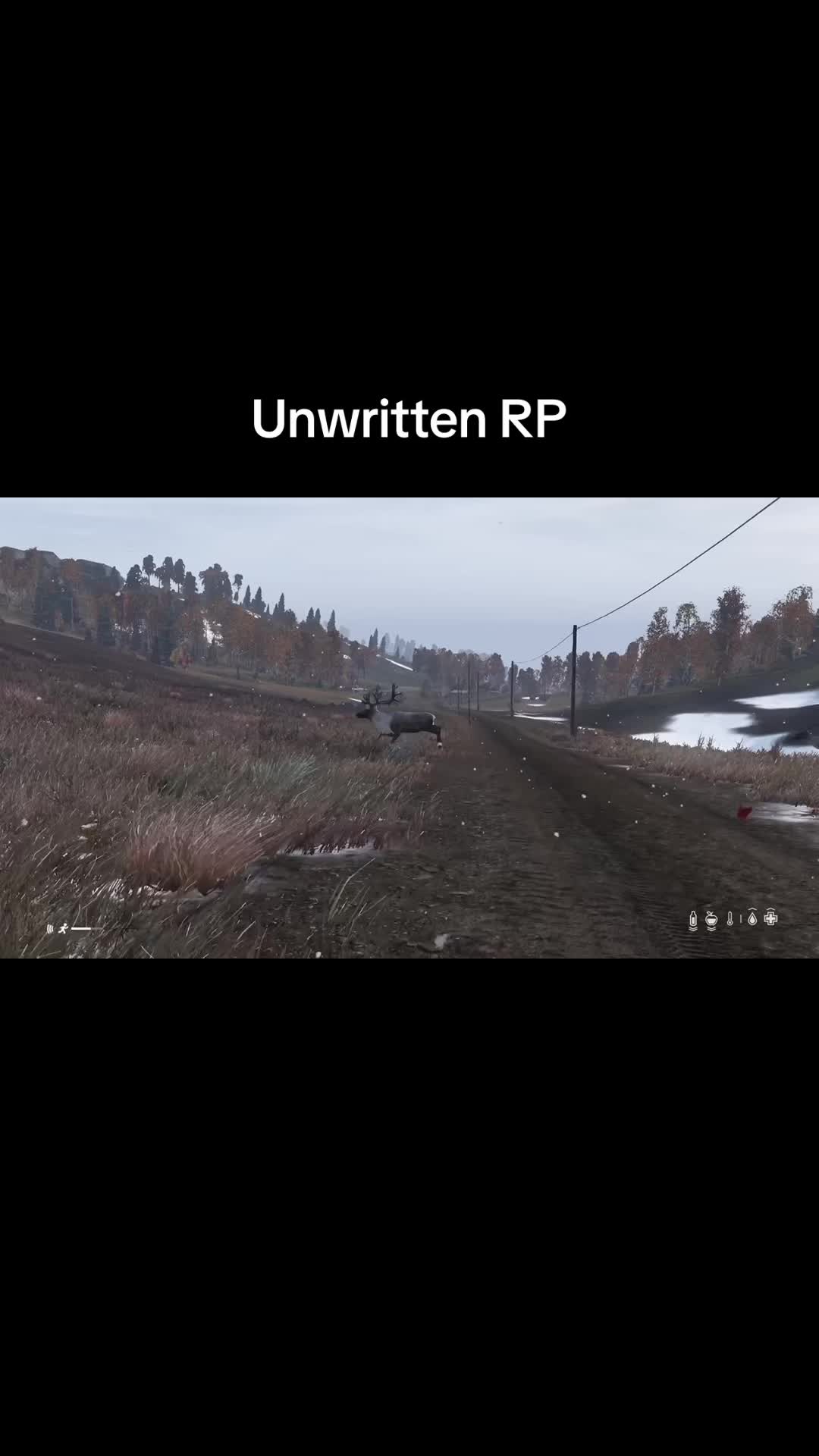 @EssenceballrDayZ