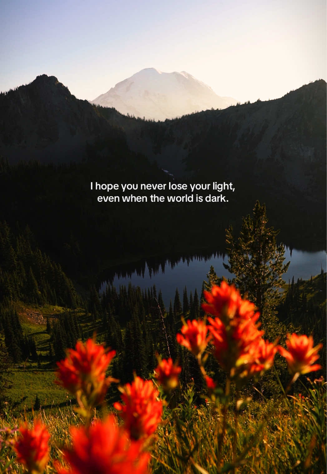 @David de Graaf || PNW 🏔