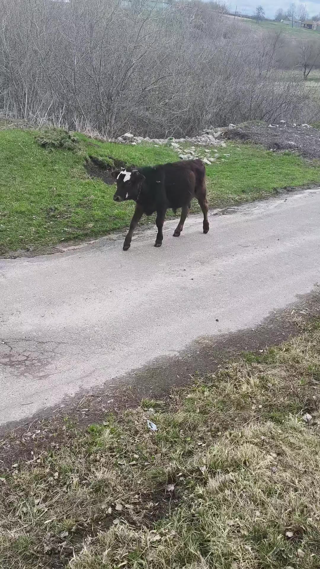 @ЕЛЕНА,ЖИЗНЬ В ДЕРЕВНЕ С СЕМЬЁЙ