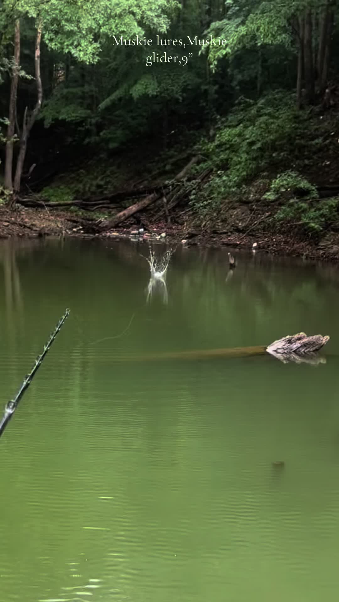 @JW Lures