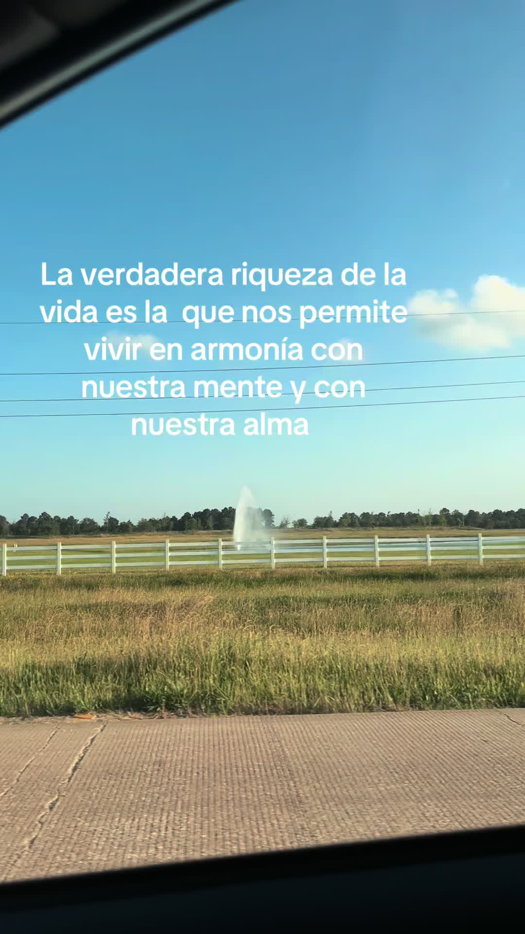 @jose.fernando.ale56
