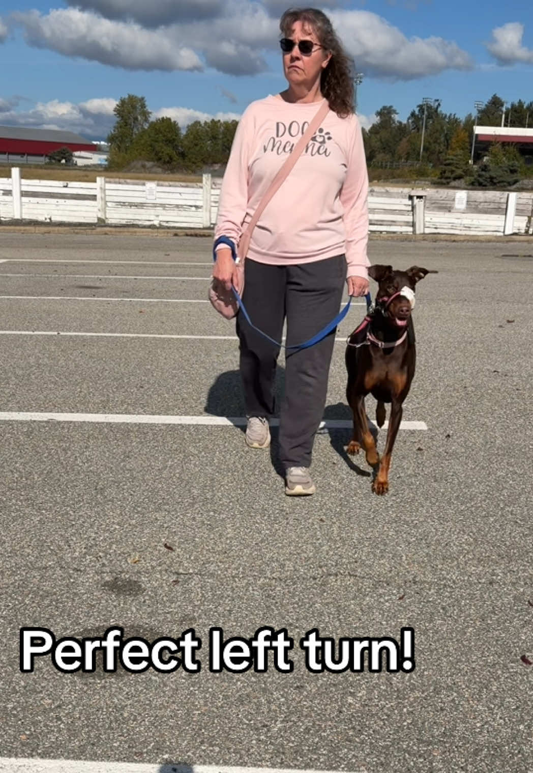 @Luna The Doberman