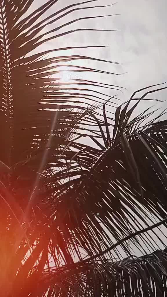 @Poojasahani