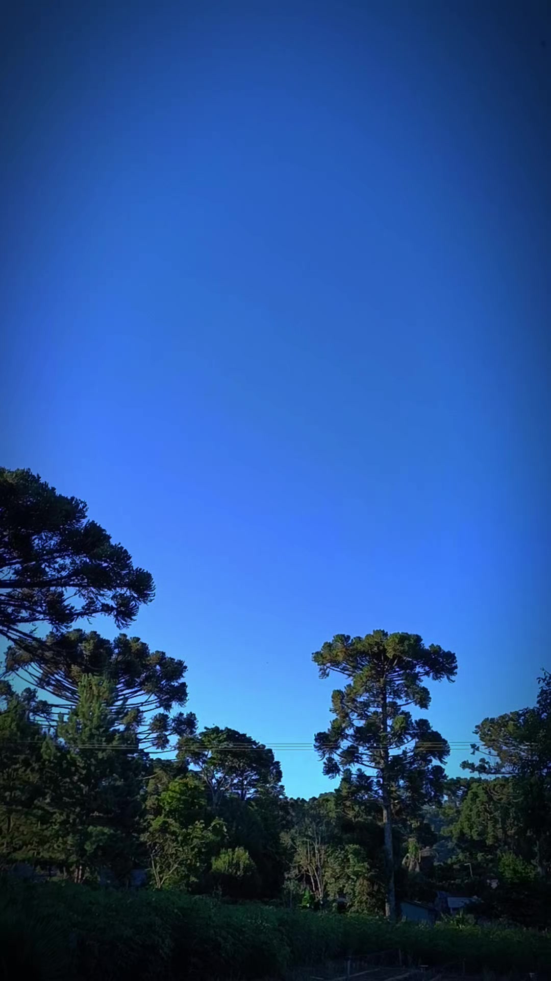 @𝓥𝓲𝓽𝓲𝓷 🎭