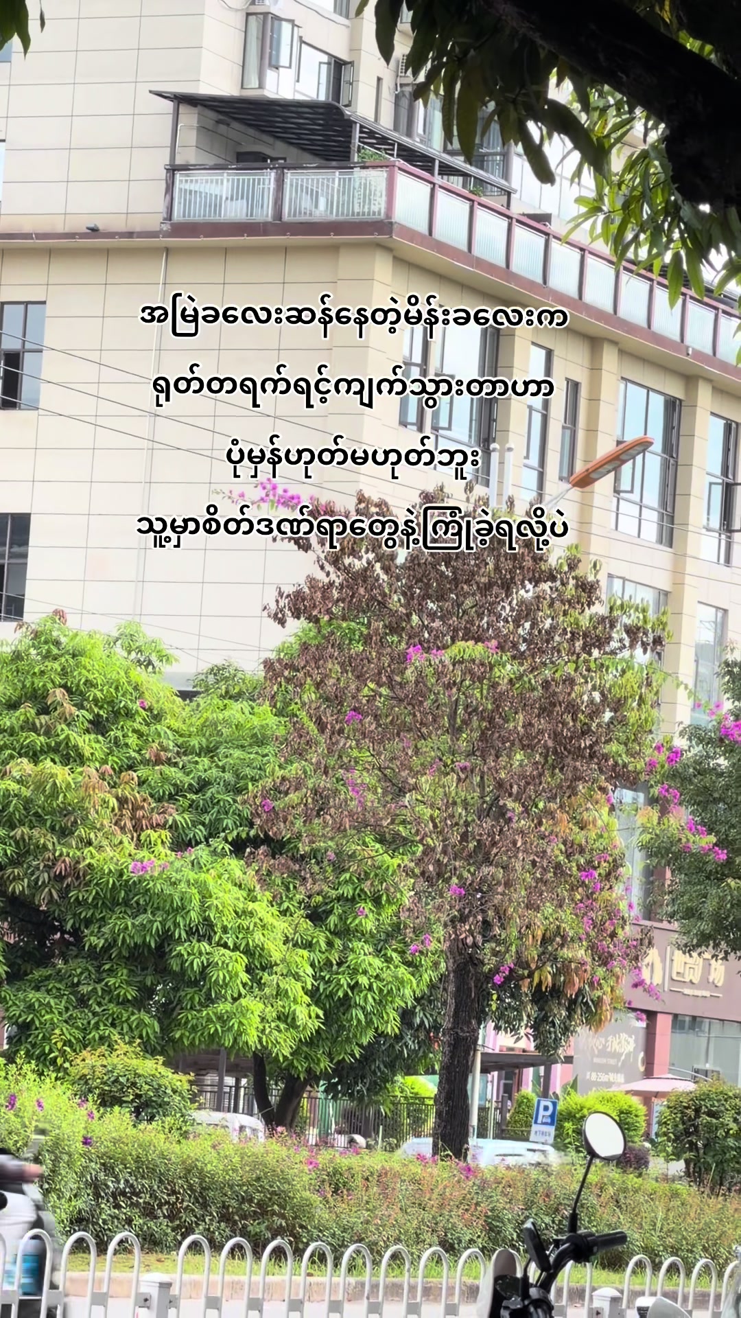 @Maran Seng Tsaw