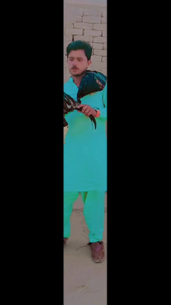 @Mushraf Ali
