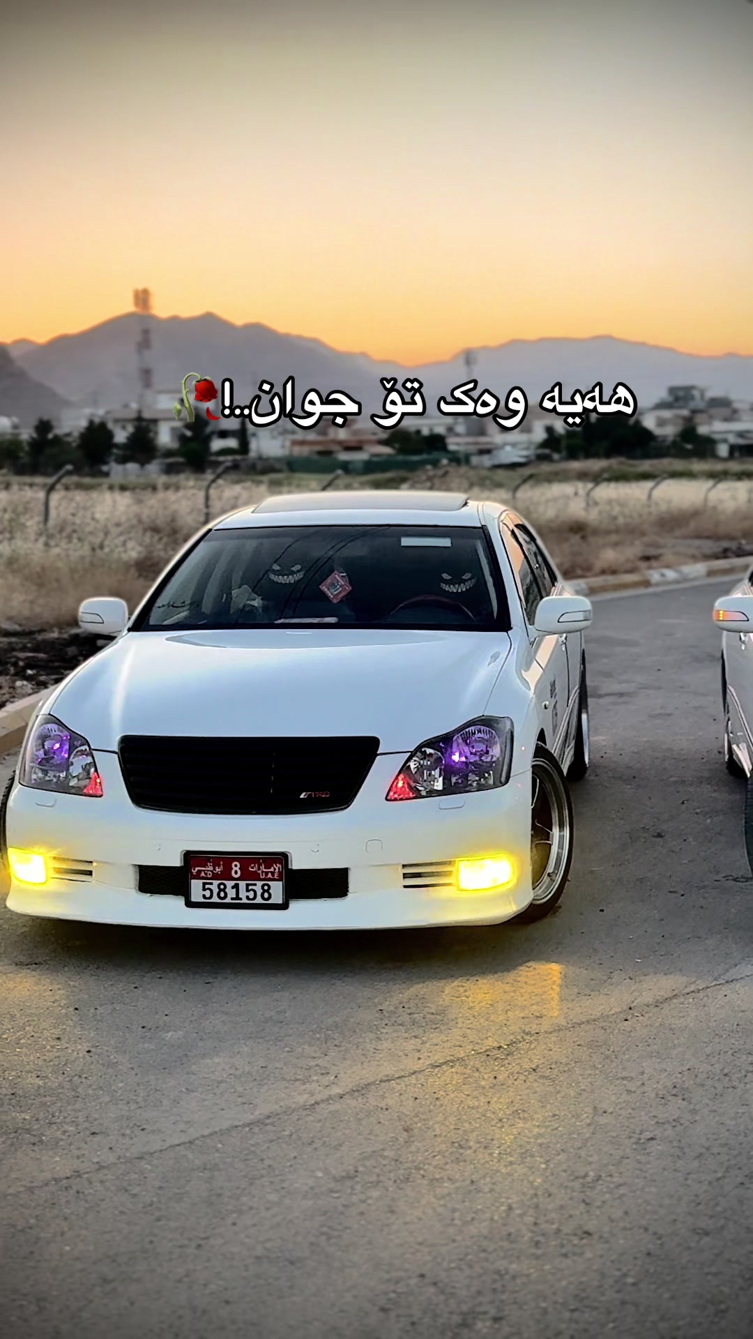 @Zanyar
