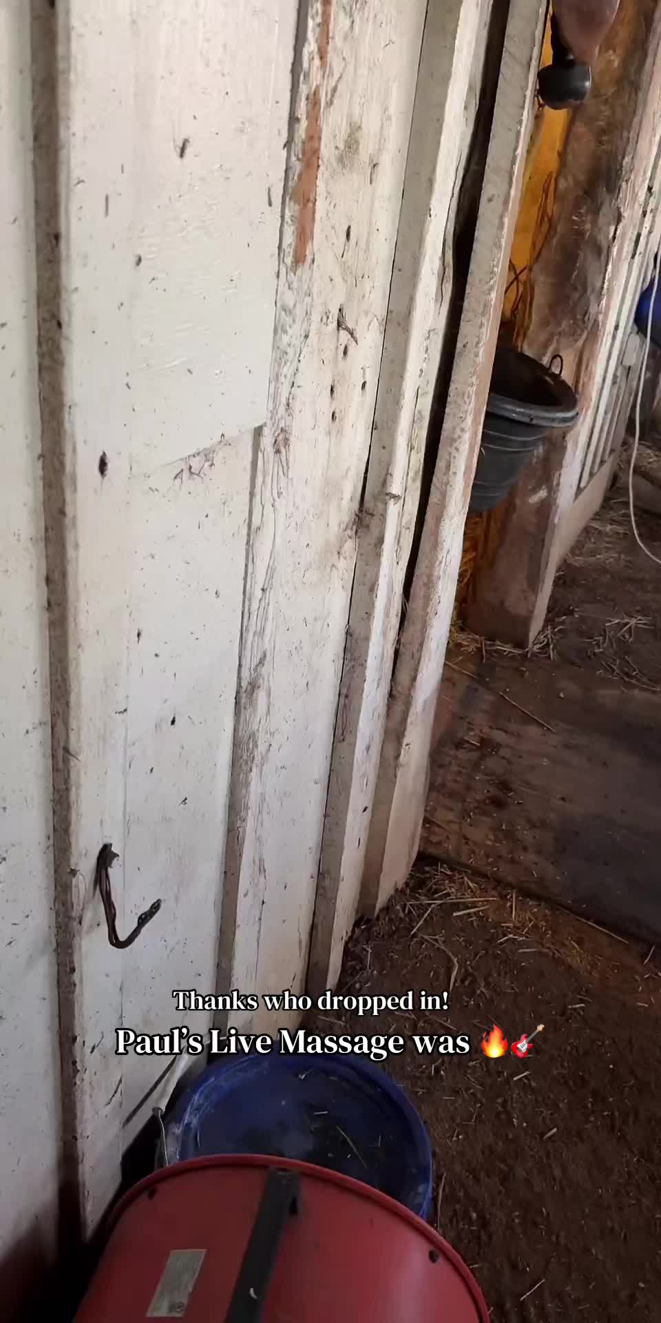 @Danigurl🦮🏇🌅