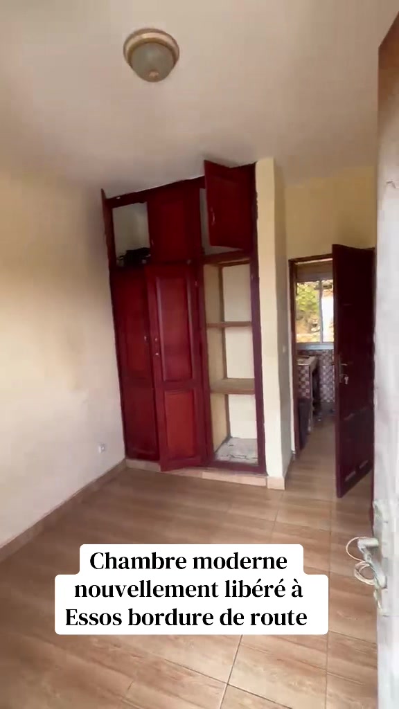 @DINO~IMMO~237🇨🇲🇨🇲