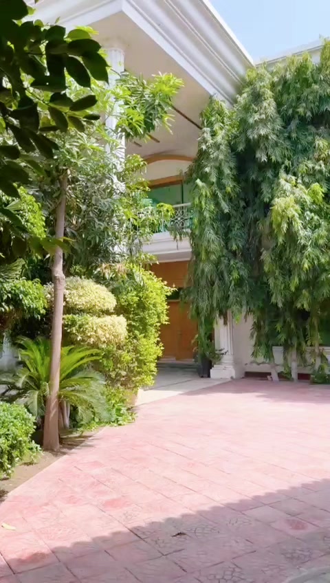 @🦁MunawarAli💫