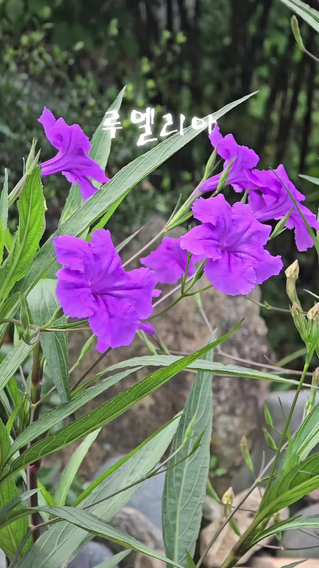 @TanPD