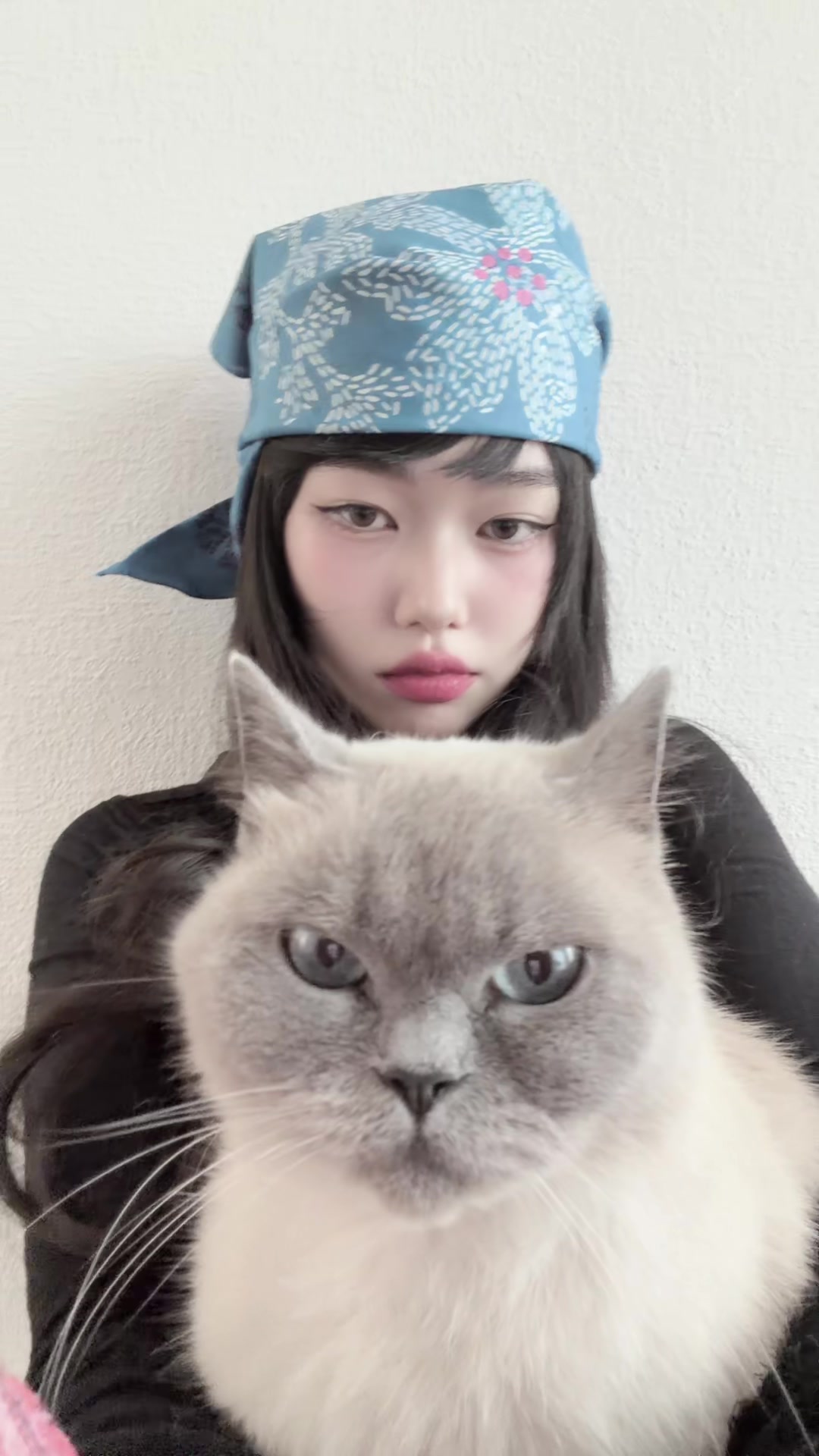 @pianissmmo