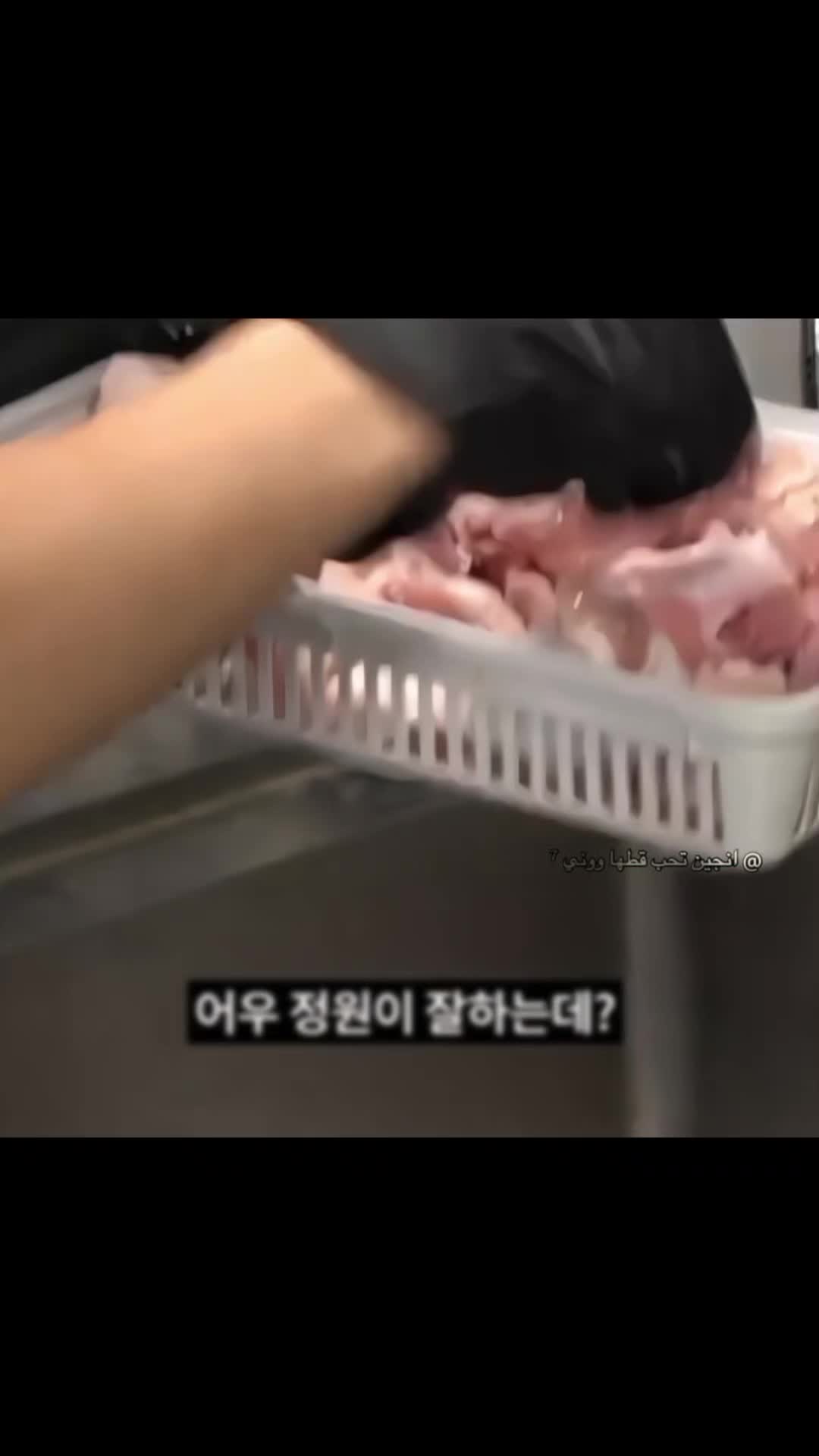 @انجين تحب قطها ووني ⁷