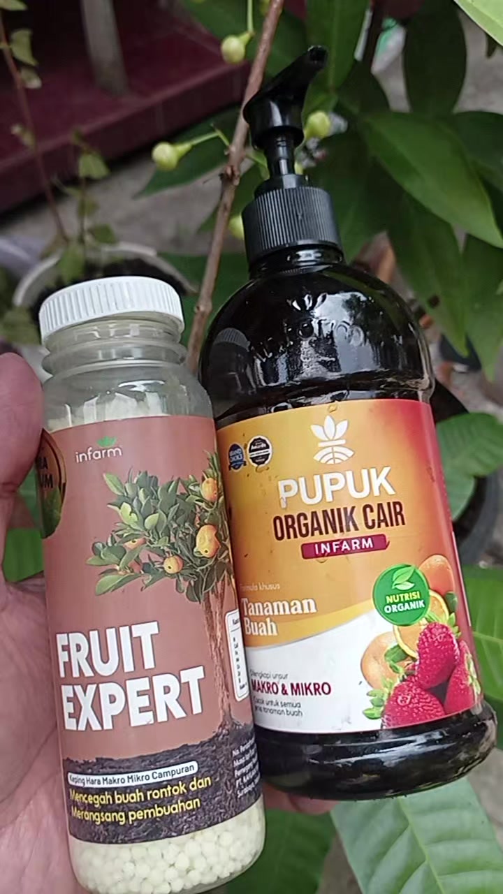 @Berkebun Berkah