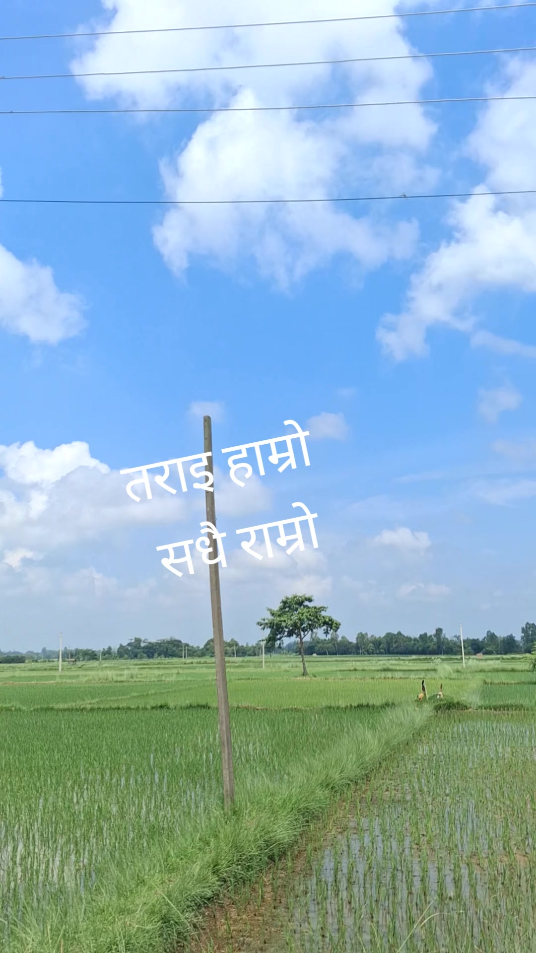 @अनिल  प्र.विश्वकर्मा(कालेकोटे)