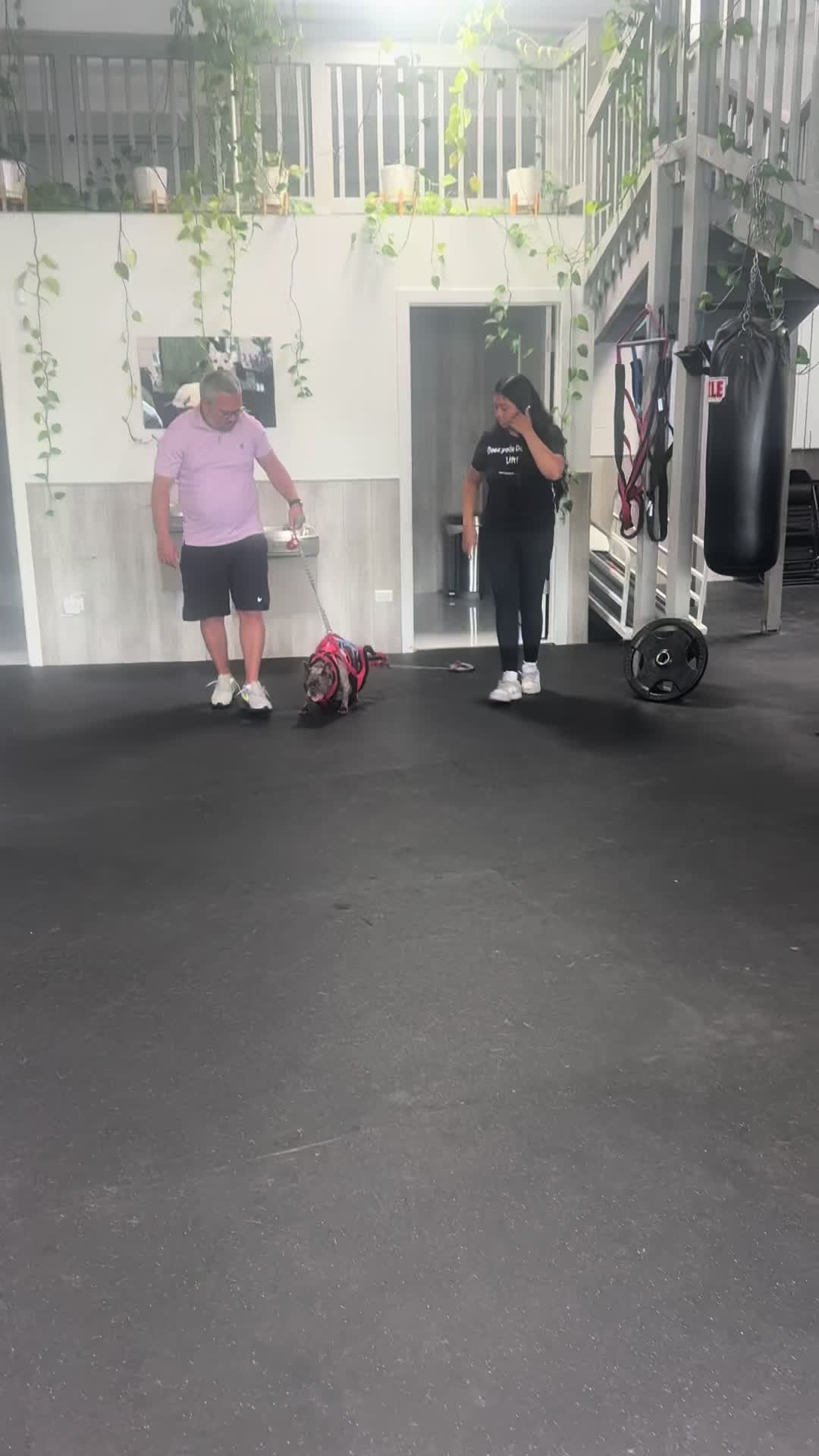 @ArfitDogRehabFitness