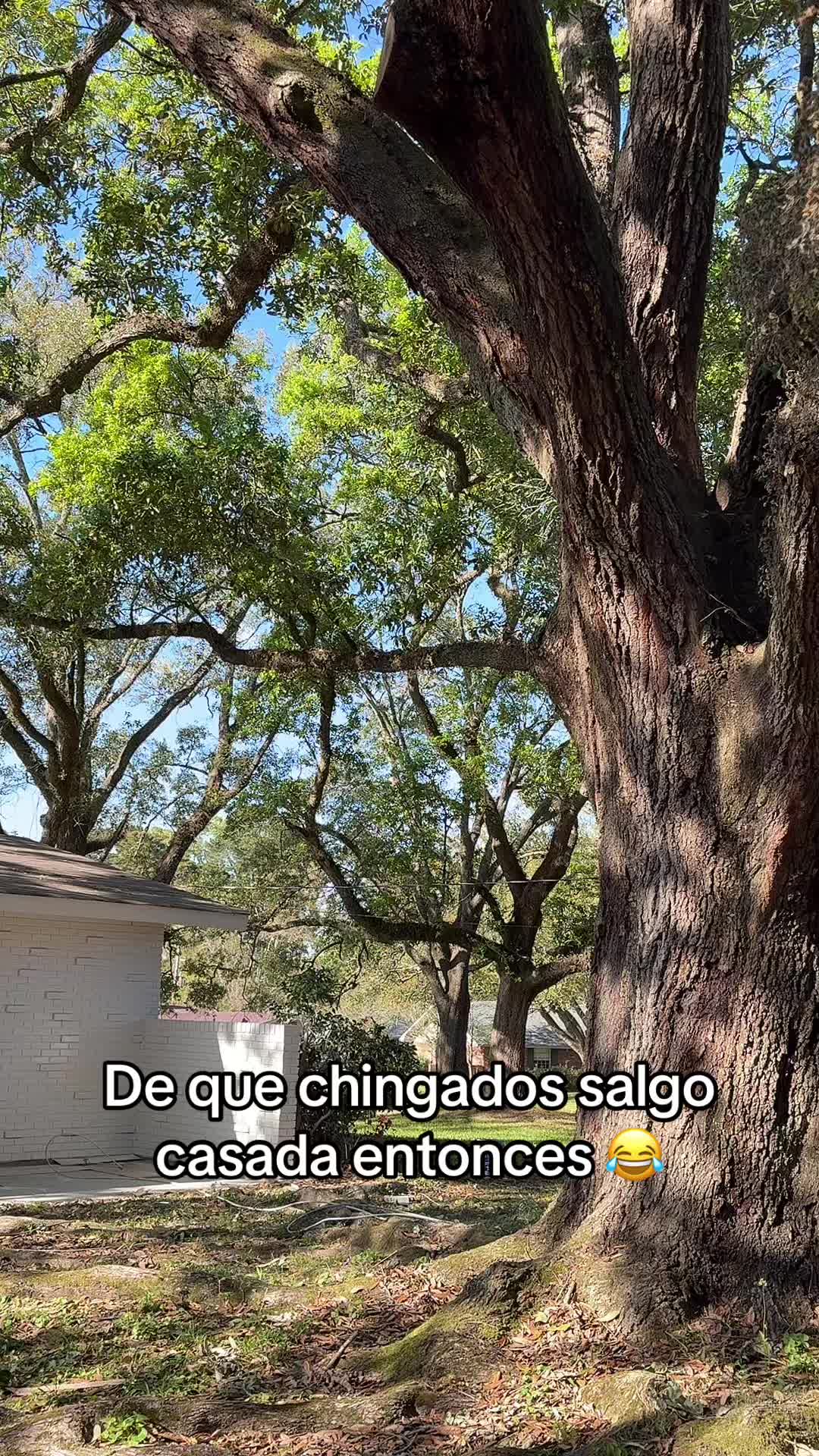 @Erika_sanabria🌻