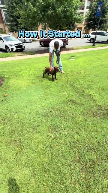 @DJ | Dog Trainer