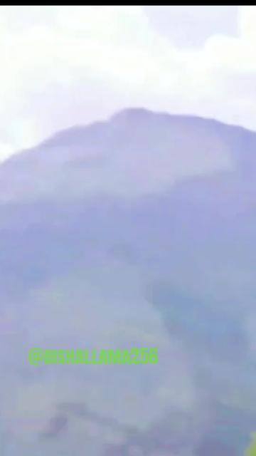 @Bisal Lama