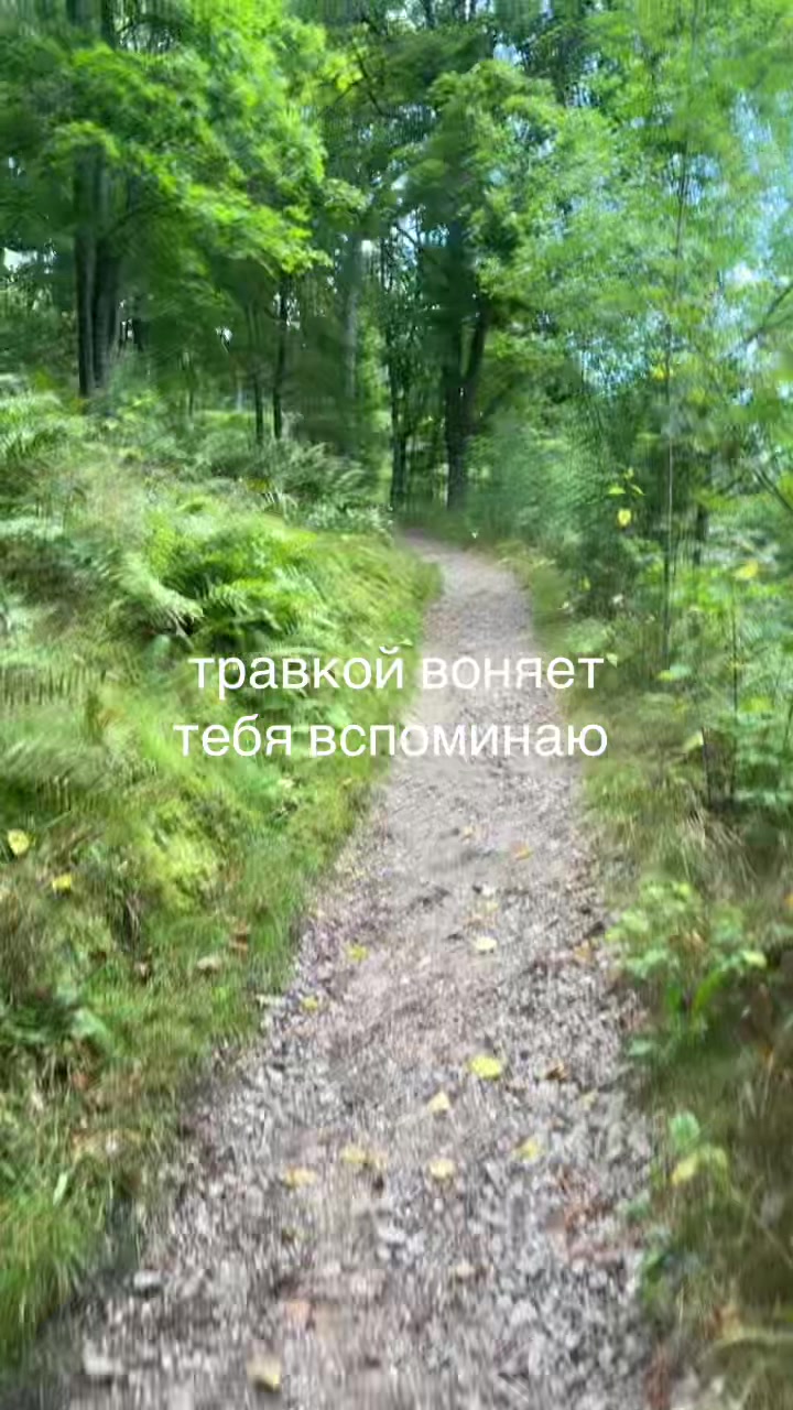 @тгк: настя швед