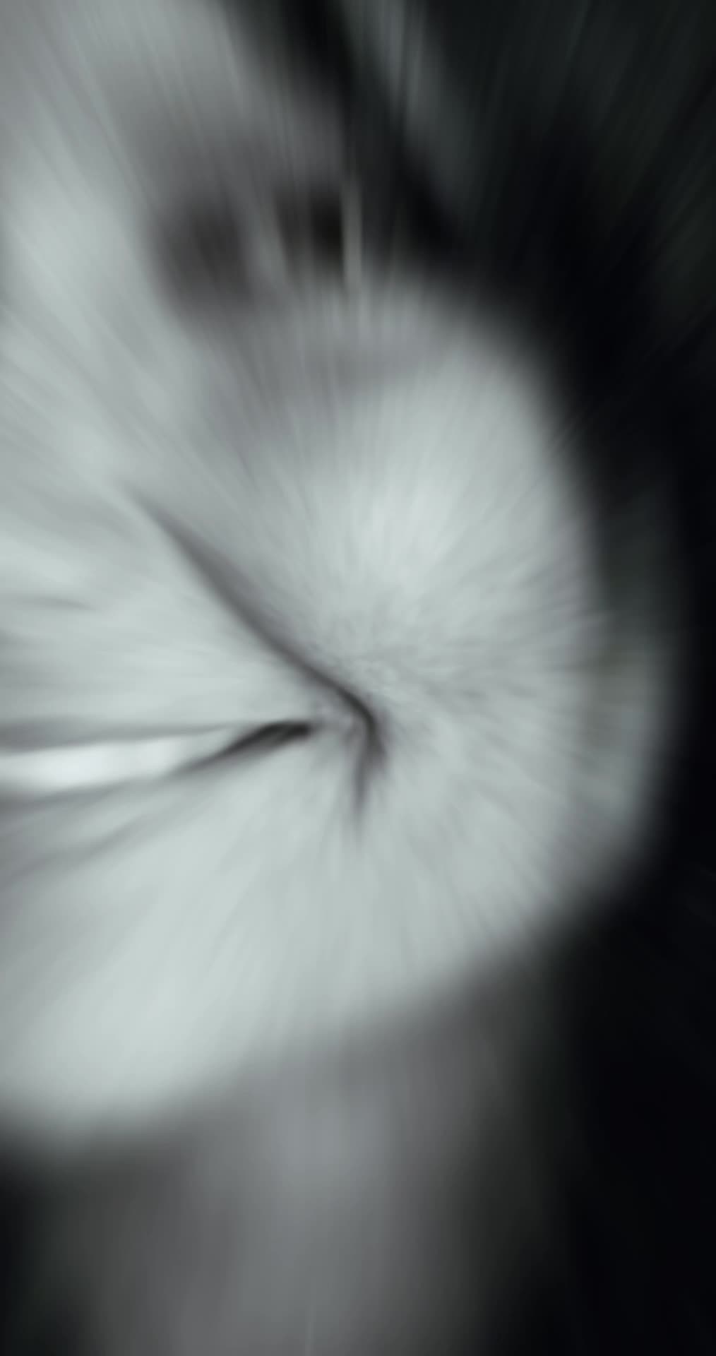 @🐬 𝕊𝕚𝕝𝕧𝕒𝕟𝕒🫧Perlen69💎