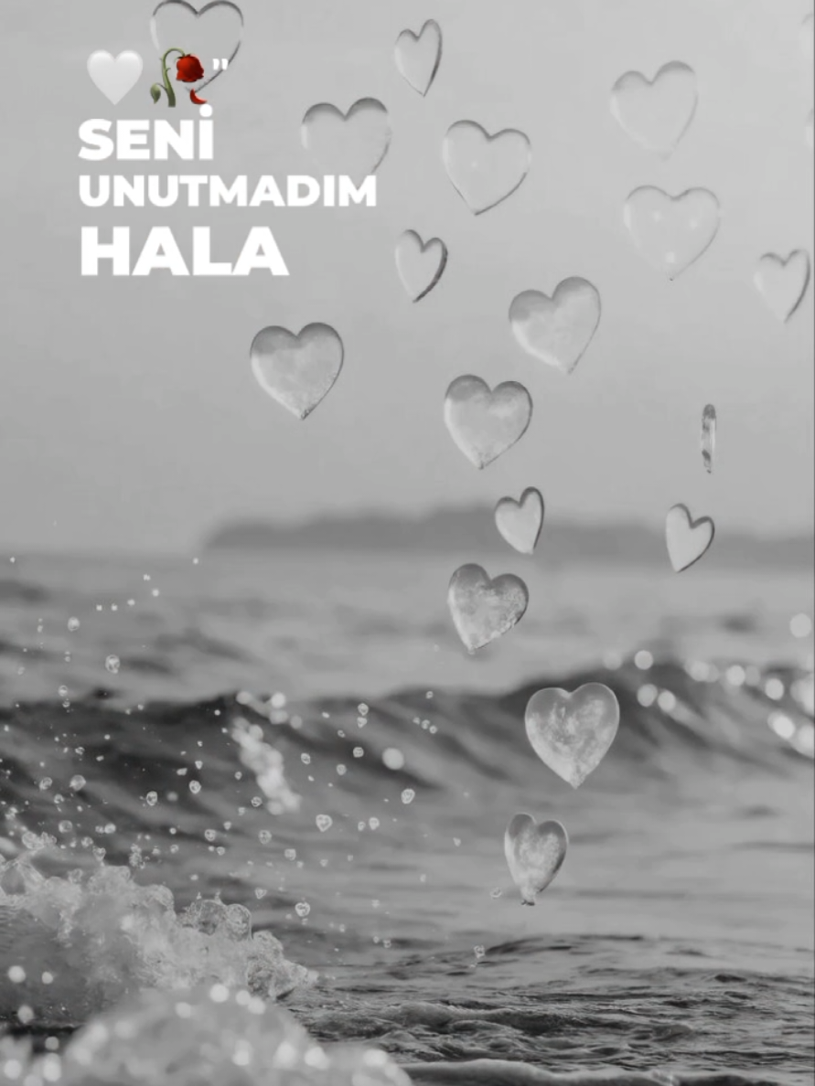 @🦁💛ESRA❤🦁
