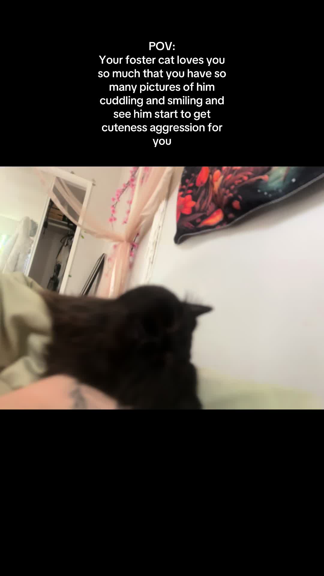 @Caitlyn