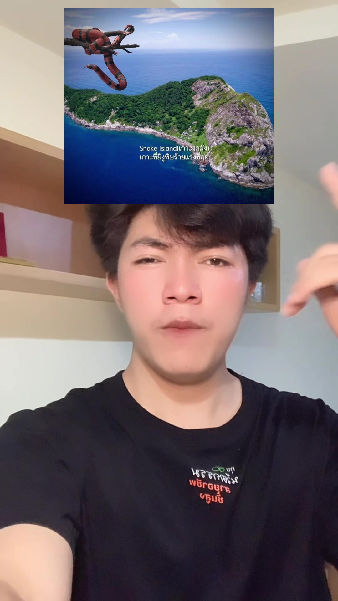 @swang1231