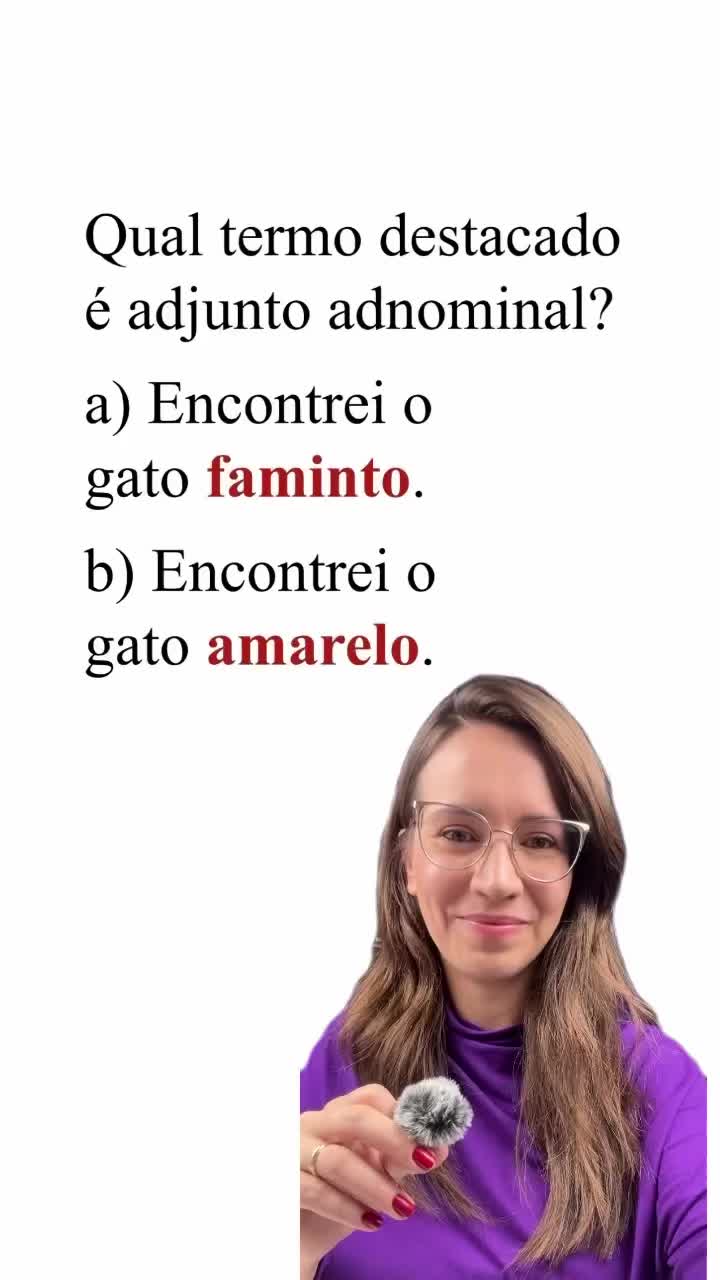 @Português com Letícia