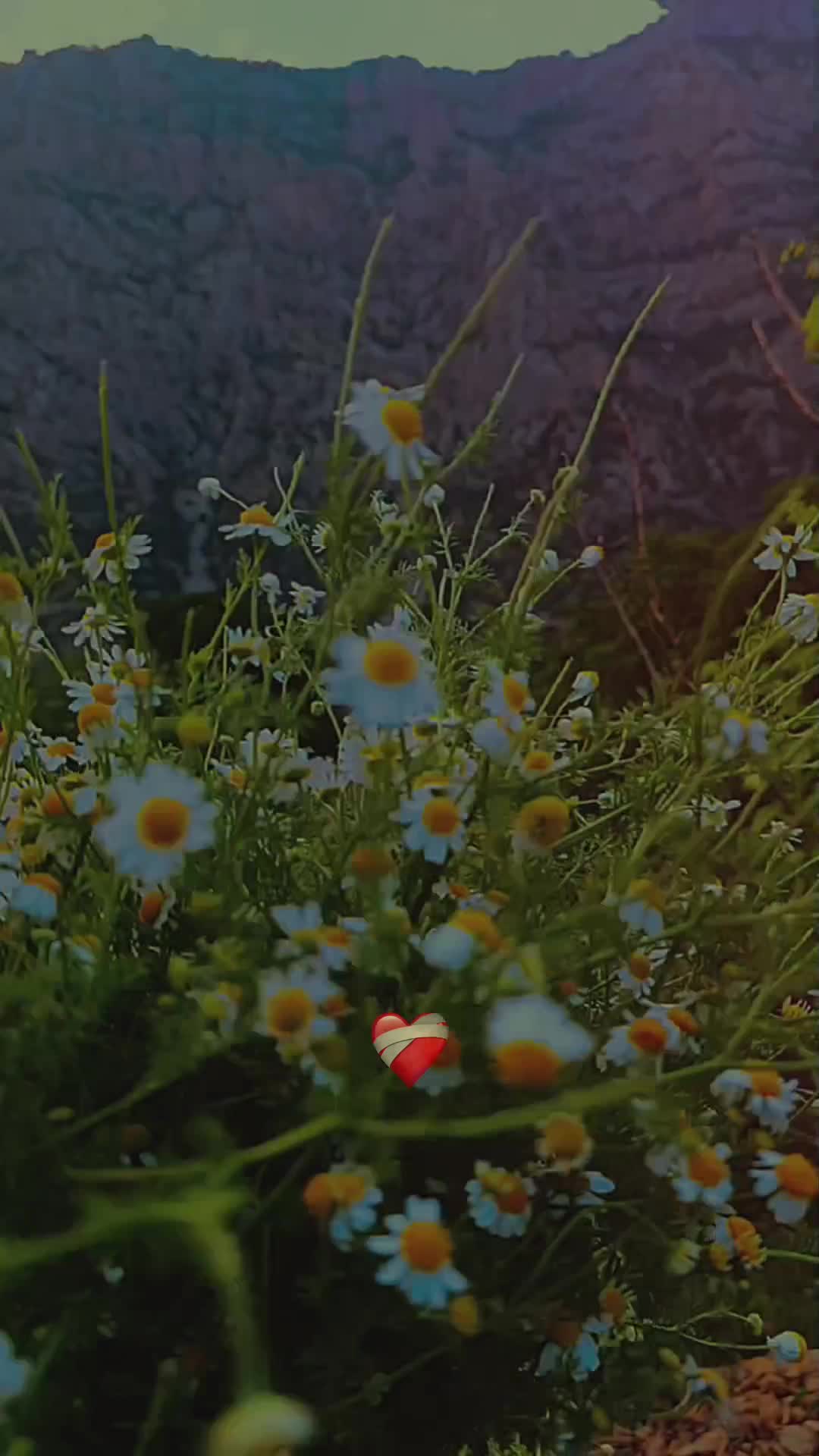 @🖤Sesizliğin🖤Çığlığı🖤