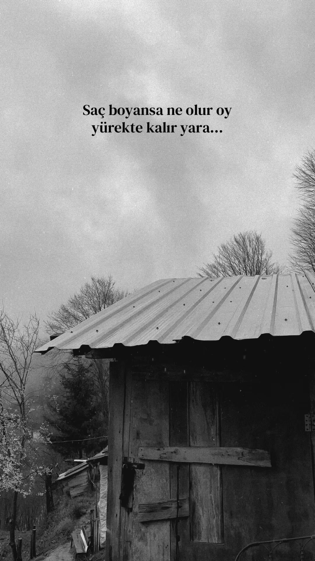 @mustafa🇹🇷