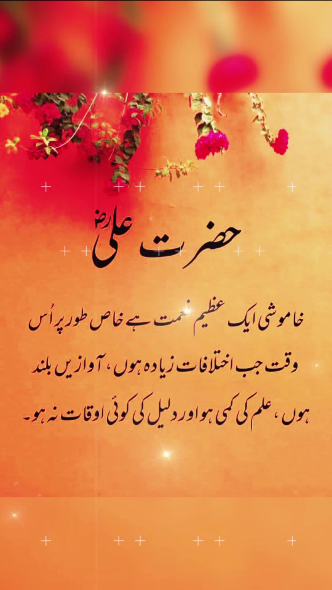 @❦︎❥︎mehar✰༆ ᶻᵘᵇᵃⁱʳ ༎ຶ✰