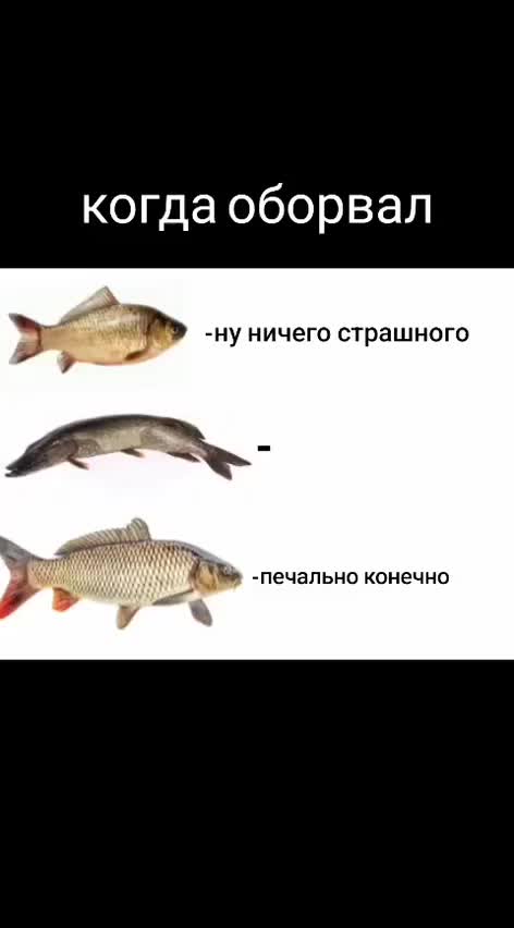 @tt_rizon4ik