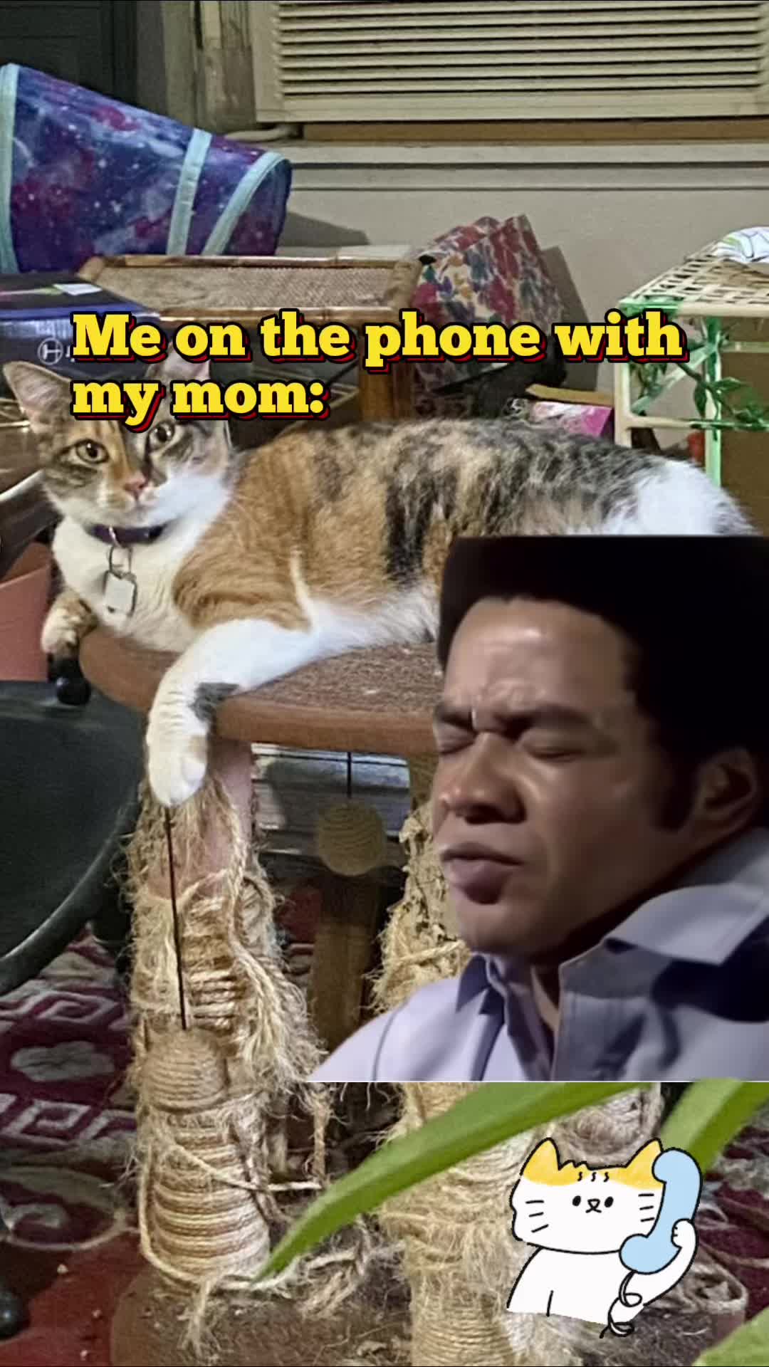 @🐈&zwj;⬛🐈Shelby🐈