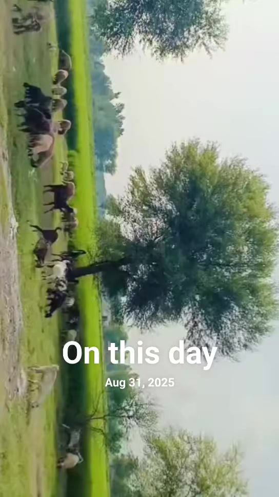 @Efiii khaN