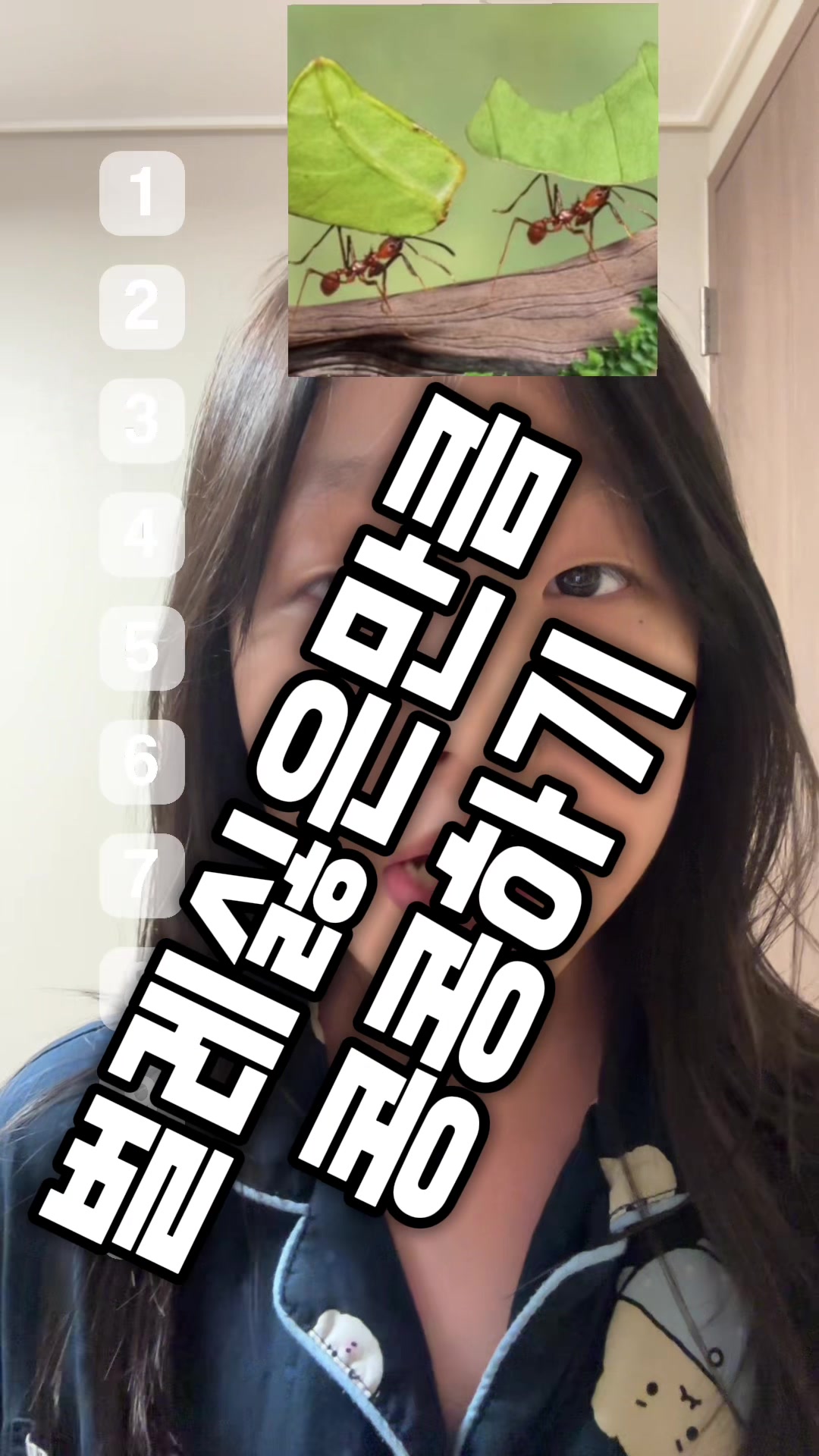 @채채파리