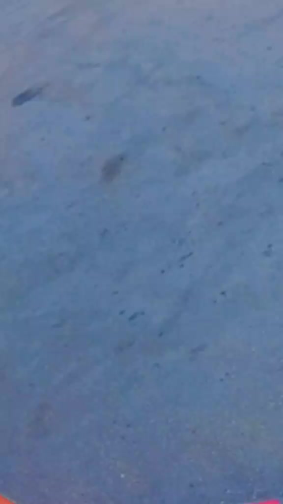 @فرج البرتو♕؟