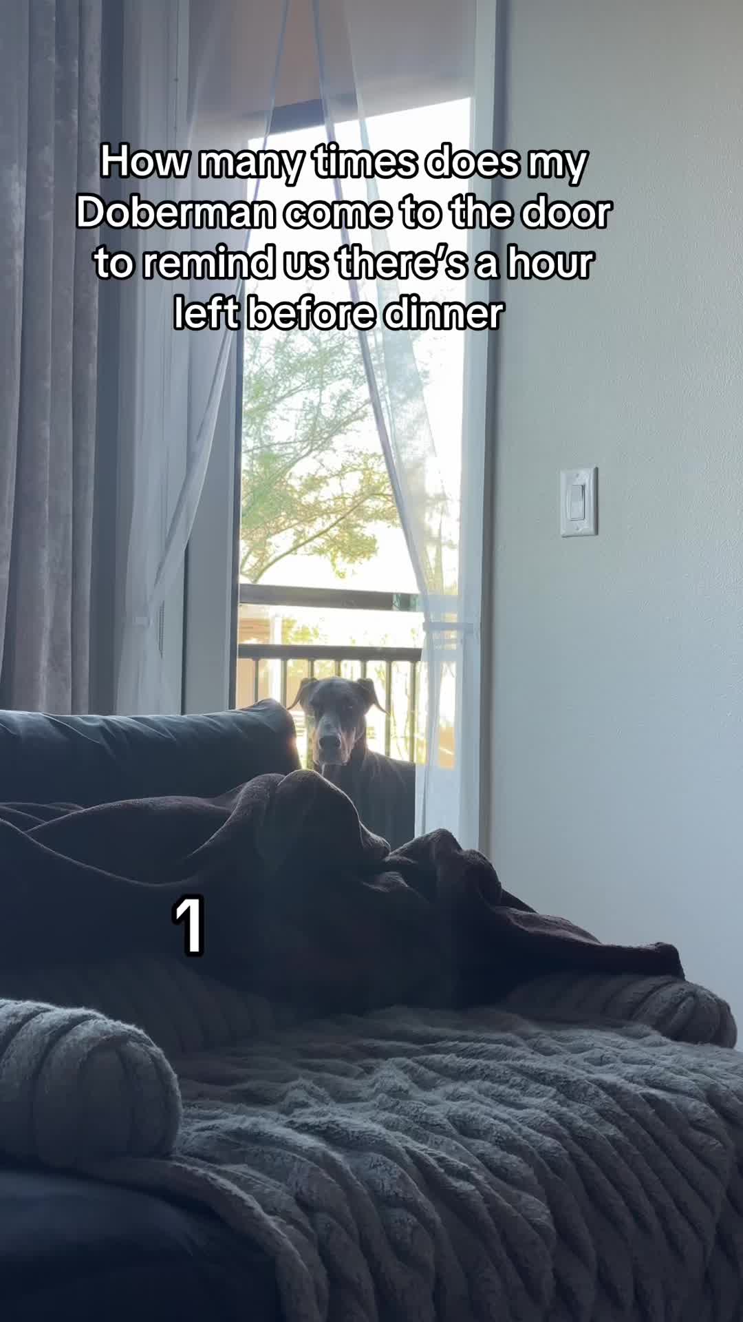 @th4yorks
