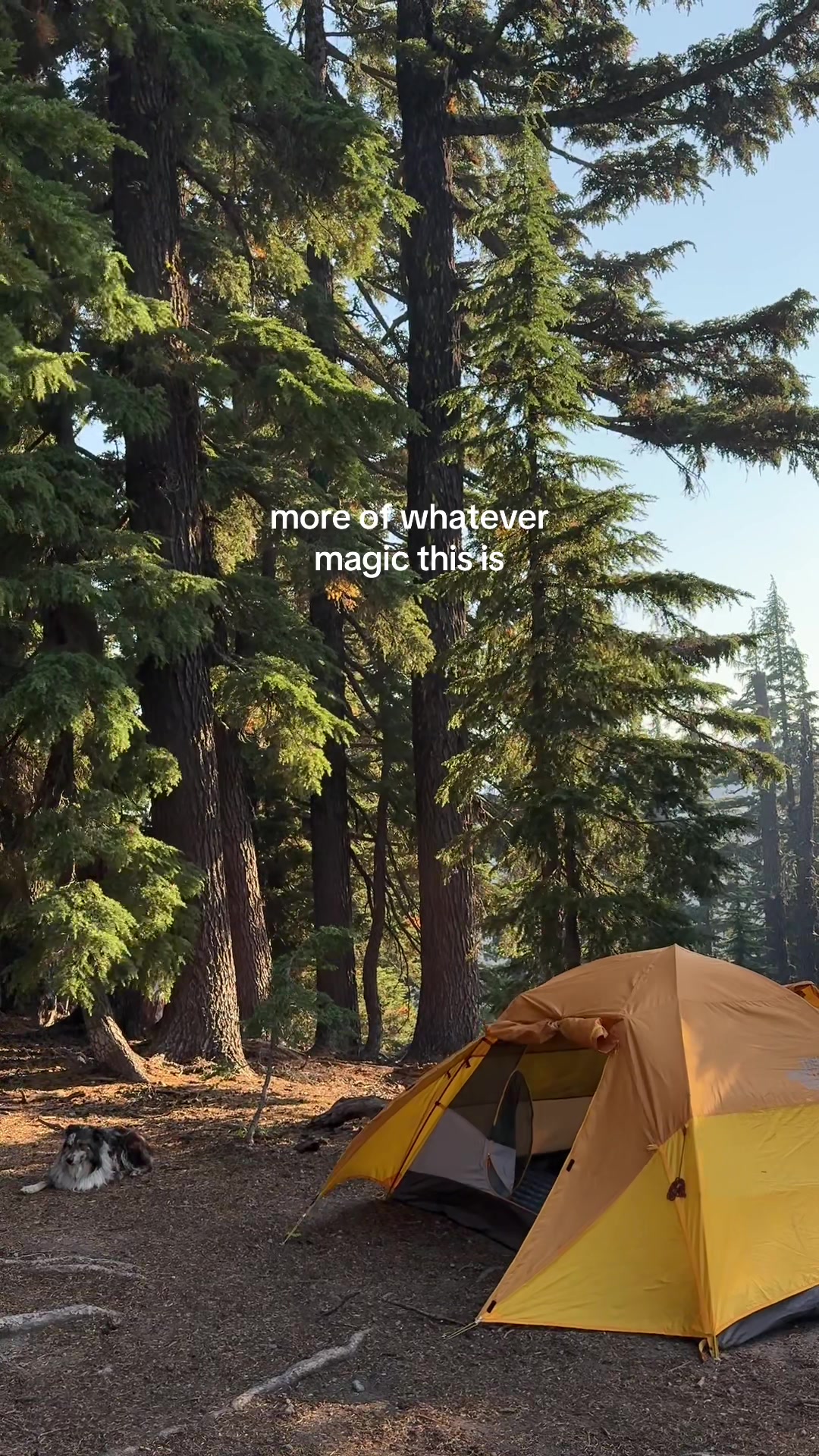 @amber | travel & outdoors ♡