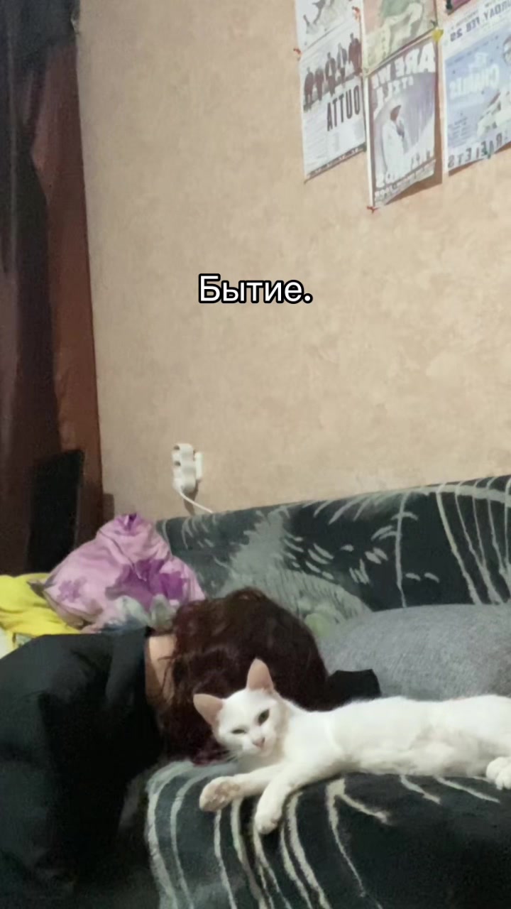 @лера тоже