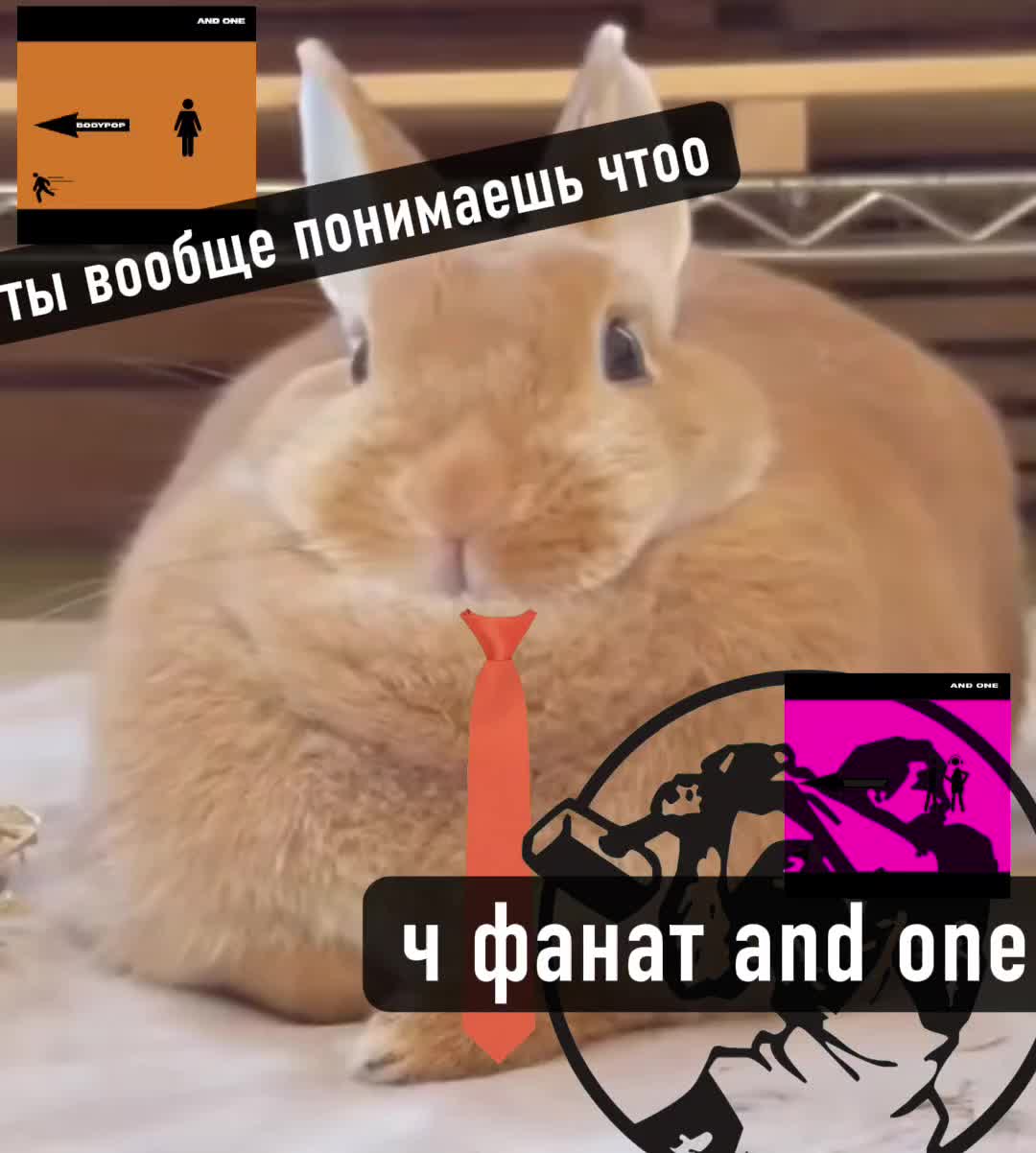 @🦷✘ᥬLAND⃠ᵃⁿᵈₒₙₑ&frac12;⏤͟͟͞͞➩𝄞