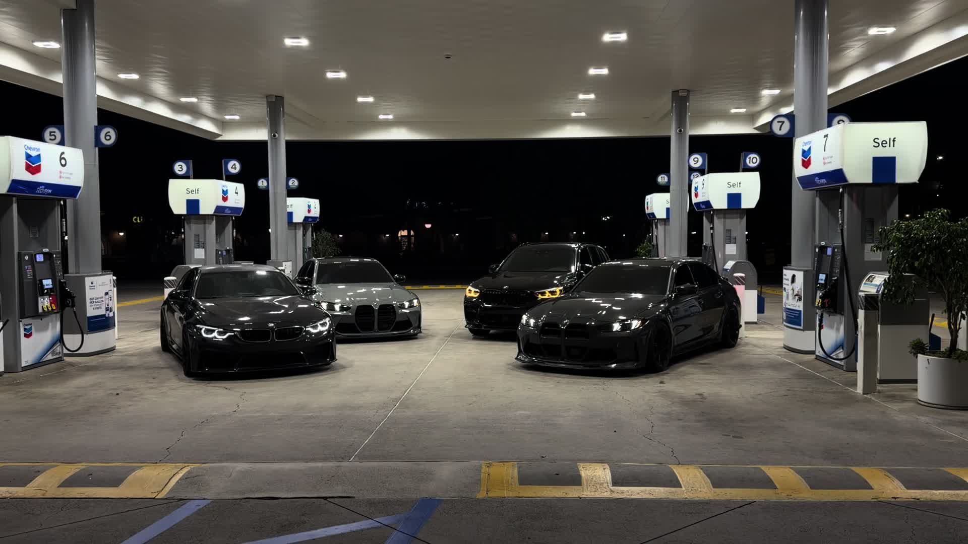 @sheeshg8x